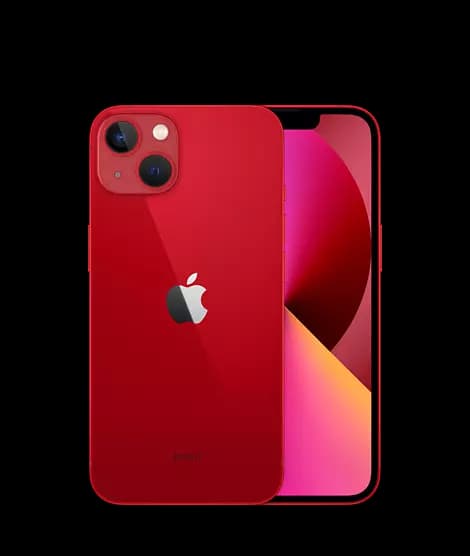 iPhone 13 Pro Max Back View