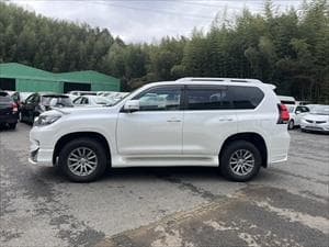 Prado
