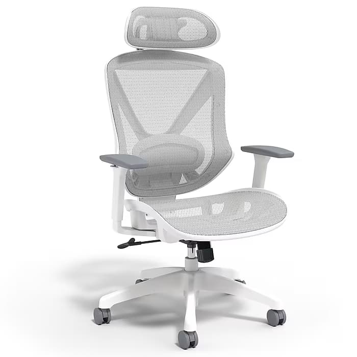 Ergonomic  Gaming Chair